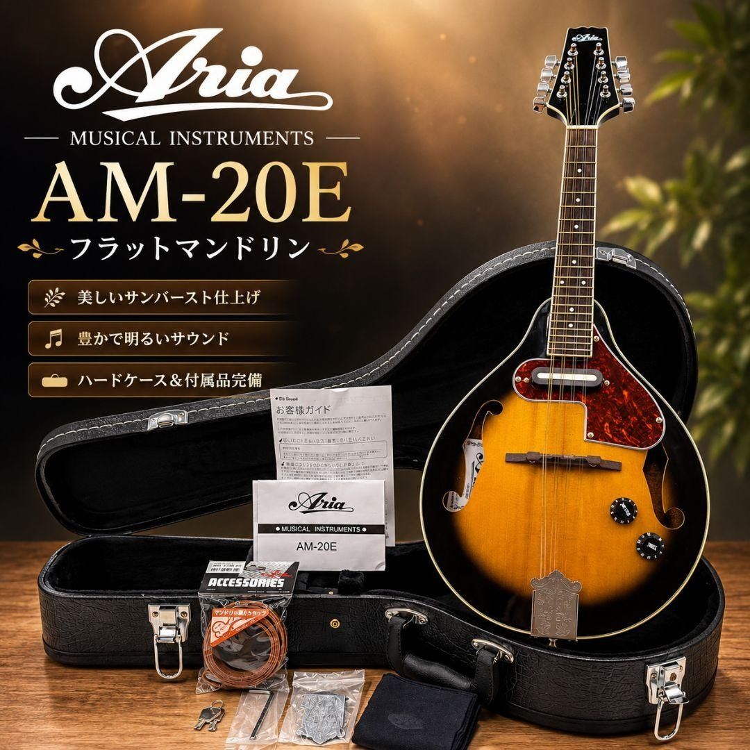 Aria AM-20E 附硬质琴盒的平背曼陀林，日落色，品相极佳