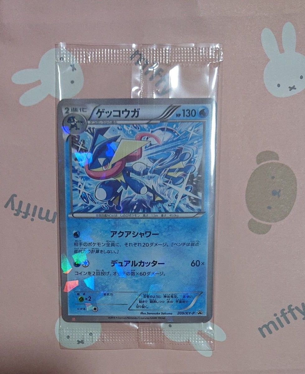 神奇宝贝卡gekoga 209/XY-P promo family mart