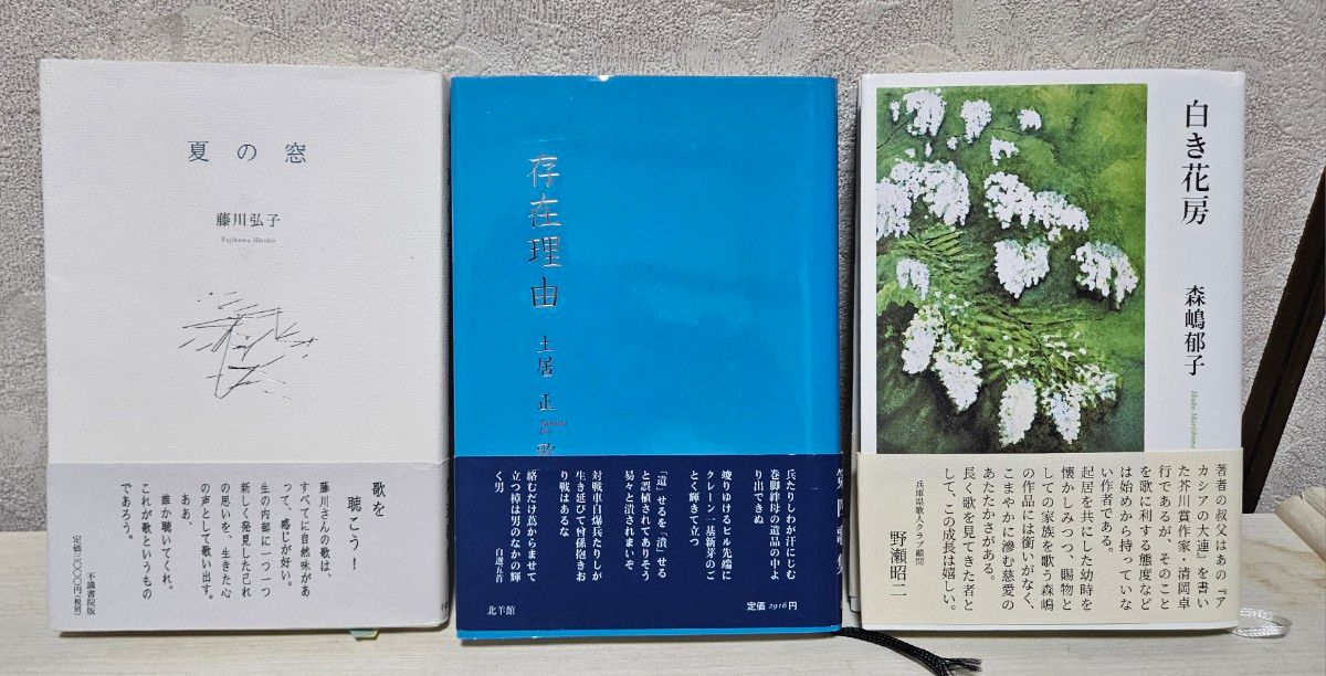 短歌集3册套装 藤川弘子《夏之窗》、土居正《存在理由》、森嶋郁子《白花房》短歌歌集 现代歌人
