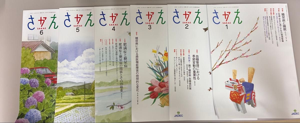 Sakae SAKAE Diabetes Information Magazine January to June Issue 6-Volume Set