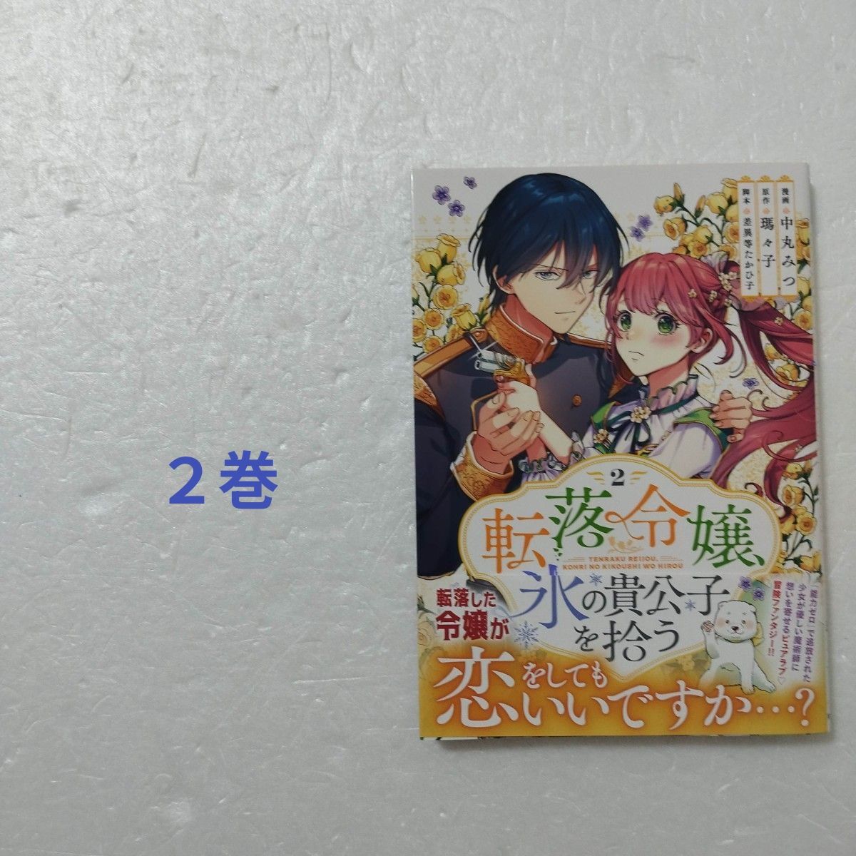 堕落千金收留冰之贵公子 第2卷/中丸みつ/玛玛子/实业之日本社 RuelleCOMICS