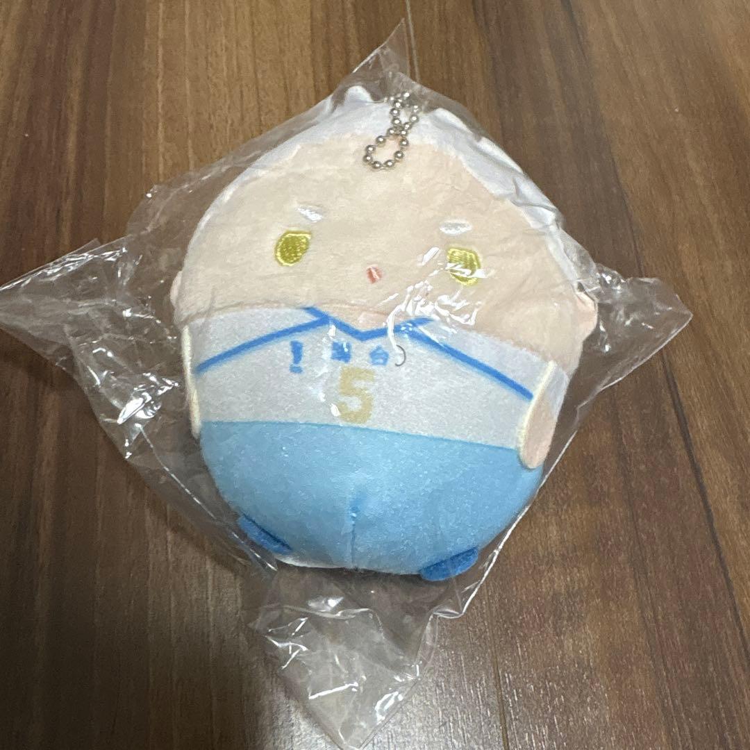 排球少年!! 抽奖伙伴 毛绒玩具 D赏 星海光来