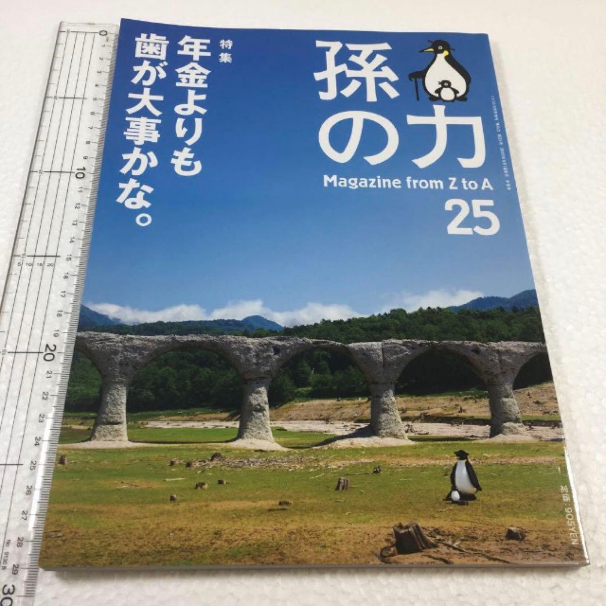 未读未使用品 孙子的力量 25 特集 年金还不如牙齿重要呢。