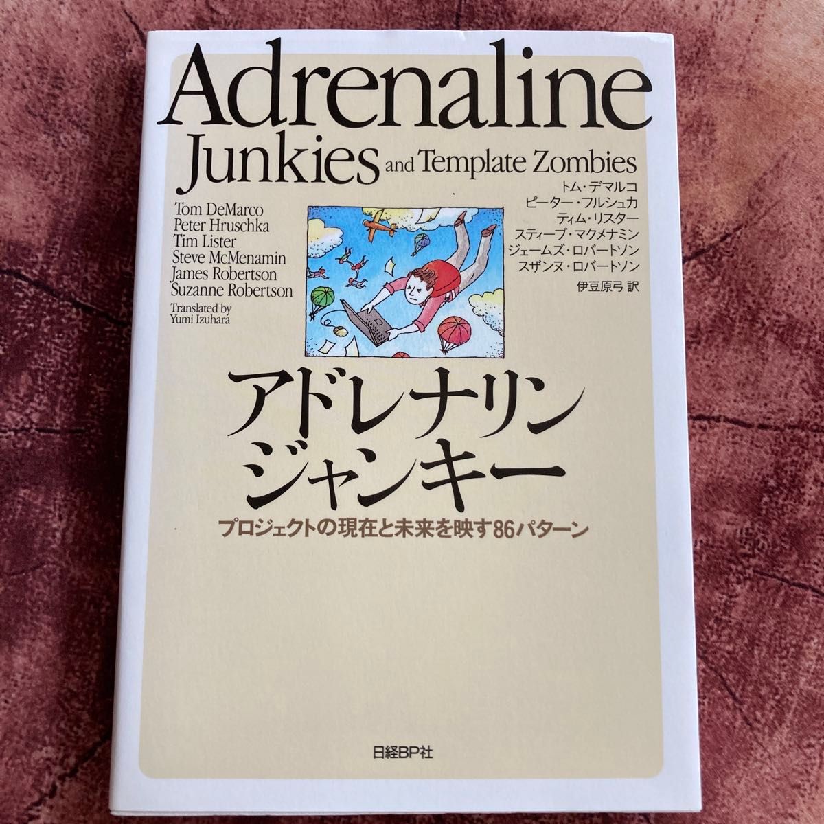肾上腺素瘾君子：映照项目现状与未来的86种模式 汤姆·德马科等著 伊豆原弓译