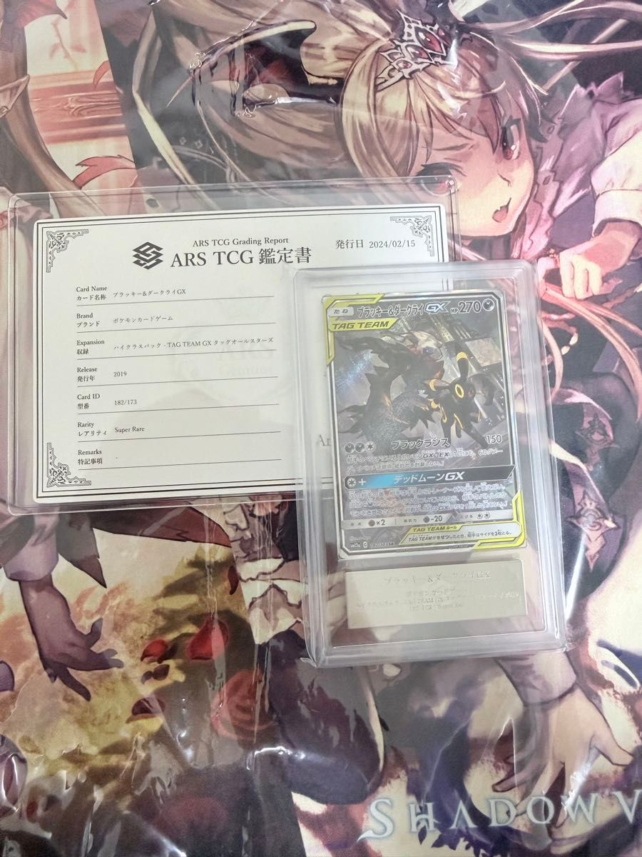 ARS10黑色 & 暗黑GX SR SA 182/173神奇宝贝卡