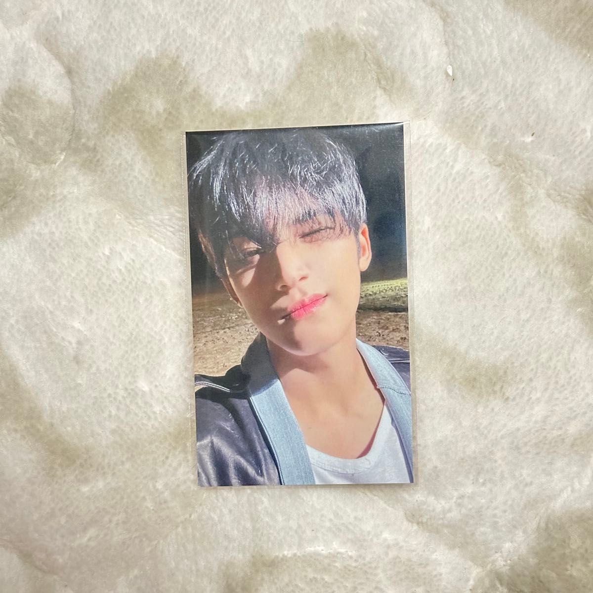 SEVENTEEN世勋FML明信片现场限定东京