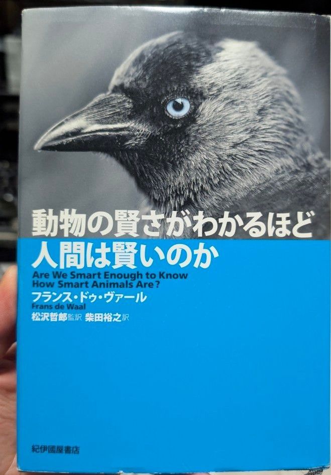 人类聪明到可以理解动物的聪明程度吗？