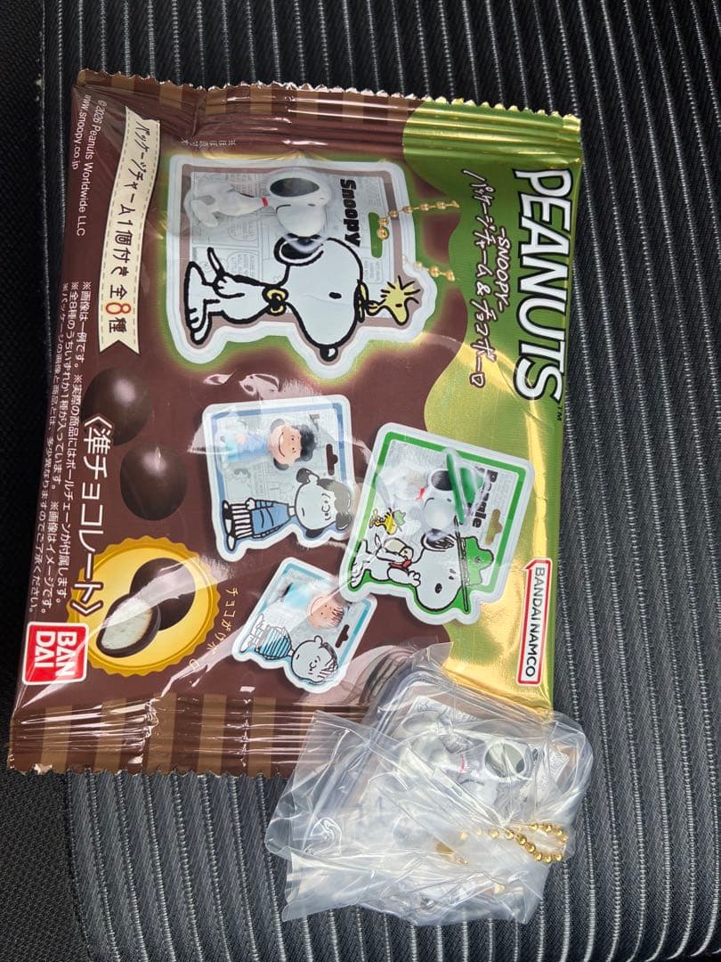 PEANUTS Package Charm & Choco Boy Snoopy