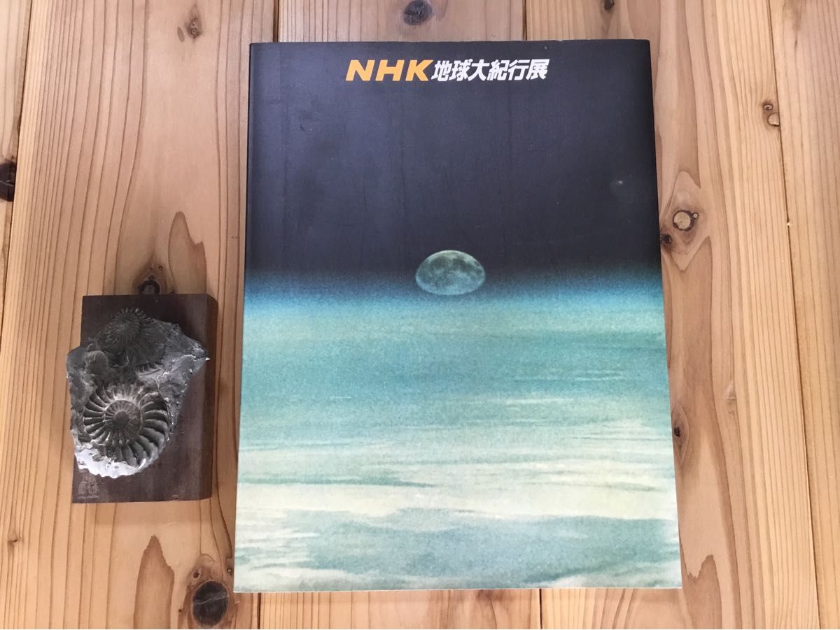 NHK地球大纪行展图录蒙脱石化石标本套装