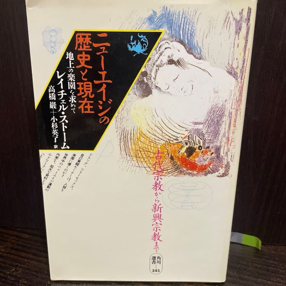 角川选书245瑞秋风暴寻找新时代的历史和现在的地上乐园