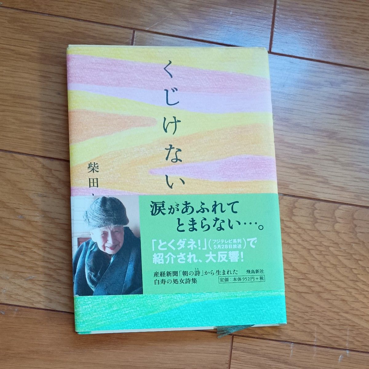 不要气馁 柴田丰 诗集 飞鸟新社