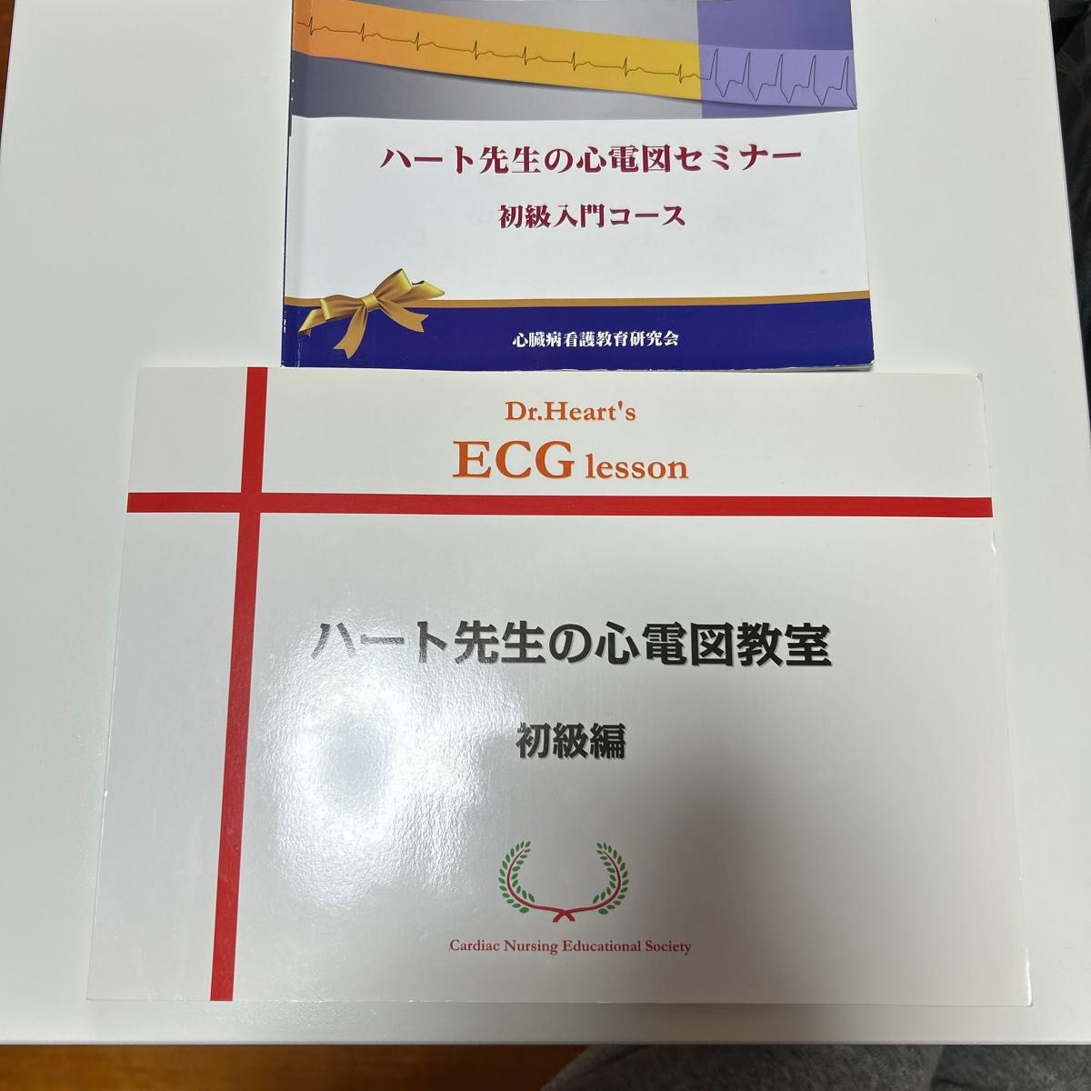 哈特医生的心电图研讨会 初级入门课程 心电图课堂 初级篇 2册套装