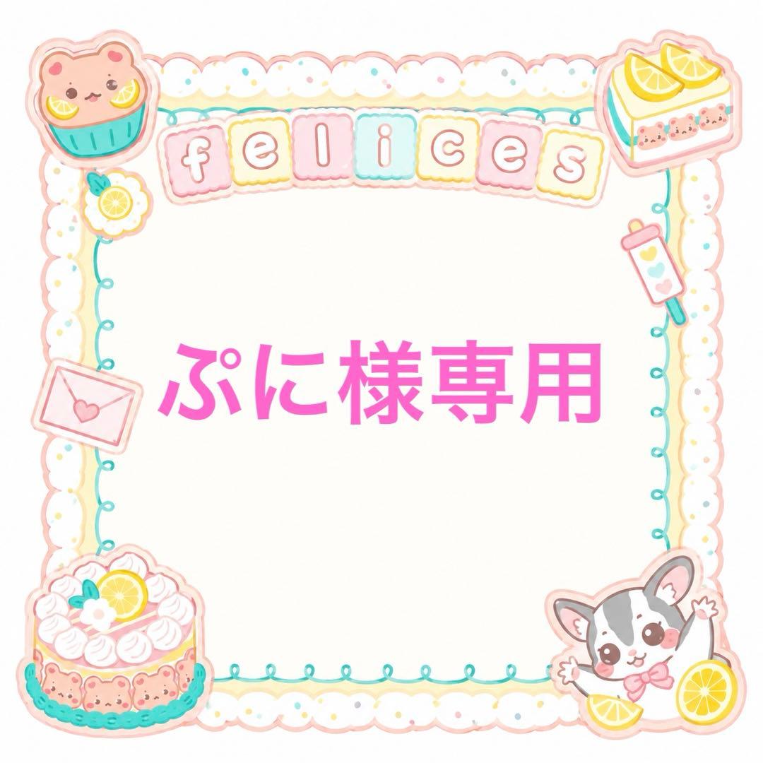 Exclusive page for Puni-sama ♡ Sugar Glider pouch