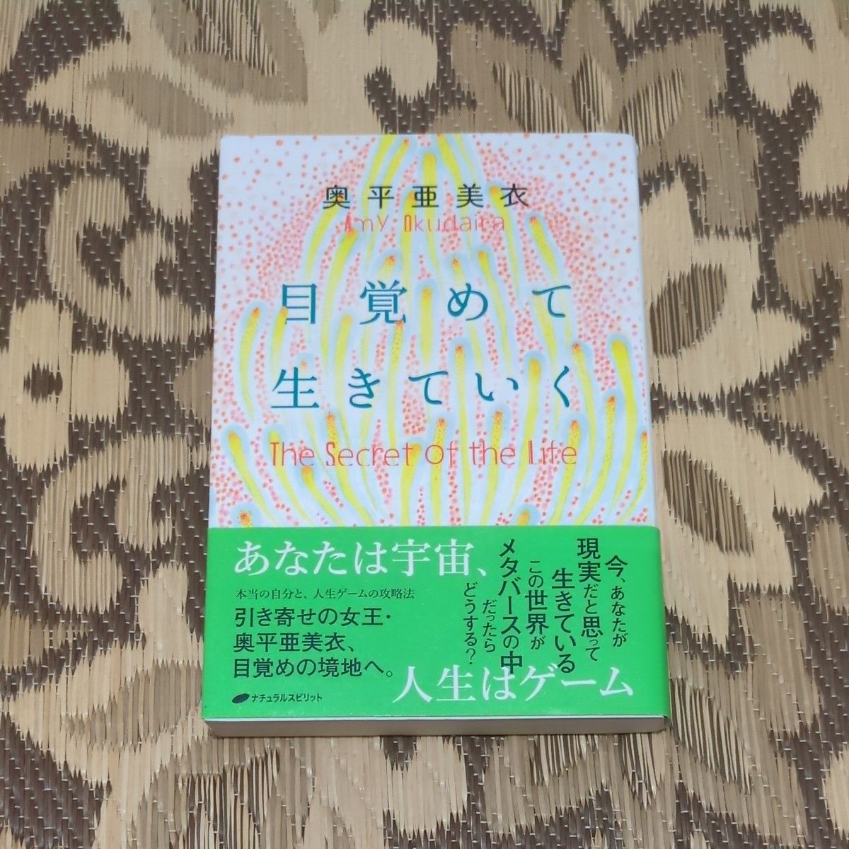醒来后继续生活 奥平亚美 著