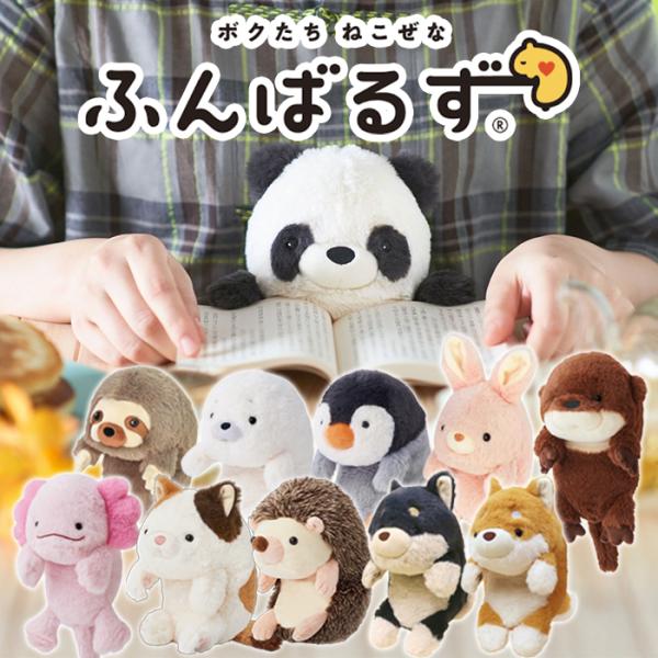 Plush Toy Catback Posture Correction Support Funbaruzu L Size Posture Improvement Body Care Health Goods Business Desk Work Study Yurukawa Cute