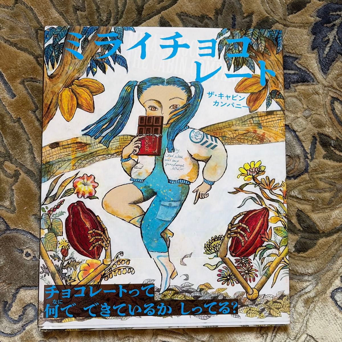未来的巧克力 The Cabin Company 绘本