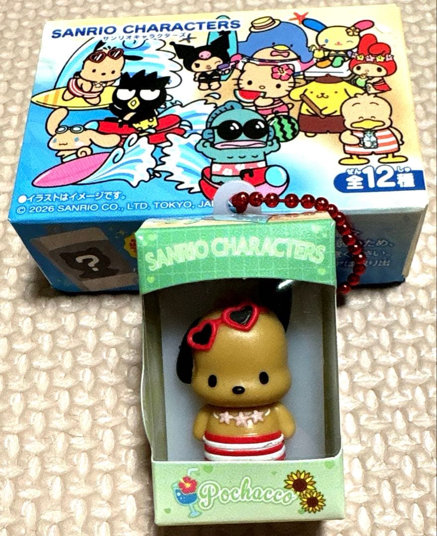 Sanrio Characters Mini Figure Keychain Pochacco