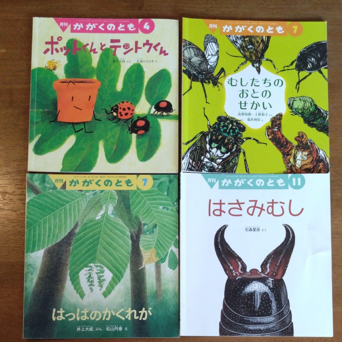 月刊 かがくのとも 絵本 4冊セット　むし系