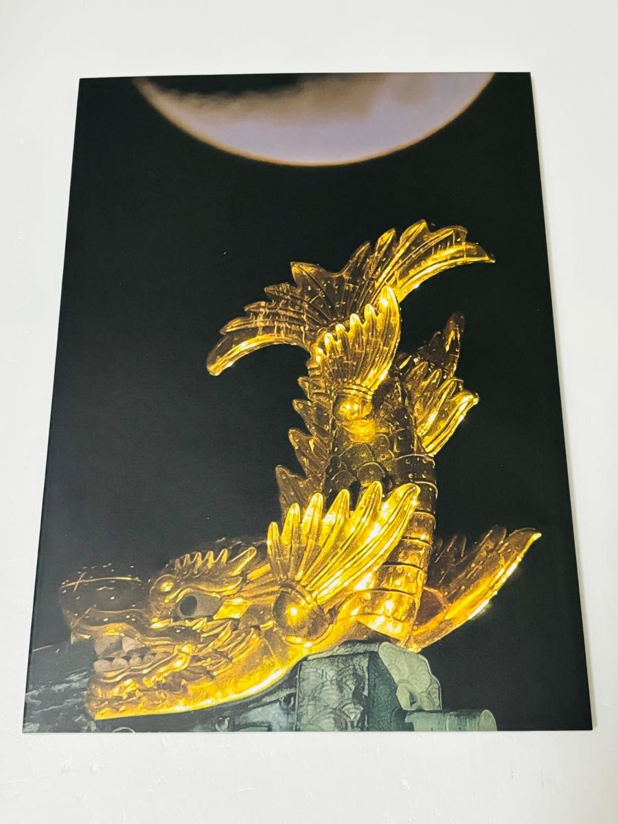 名古屋城 金鯽魚 特別展覽 小冊子