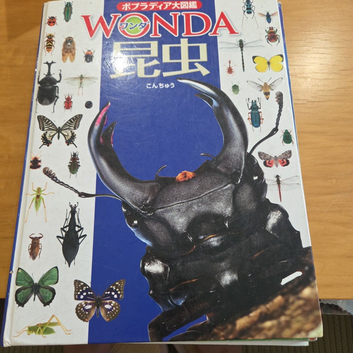 波普拉大图鉴 WONDA 昆虫【降价】