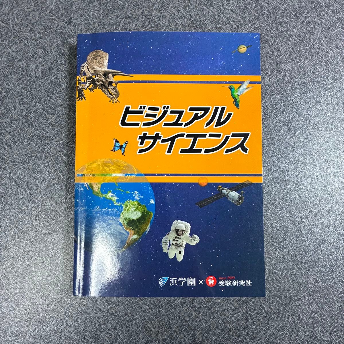 ビジュアルサイエンス 浜学園 理科 受験研究社 参考書 小6 テキスト