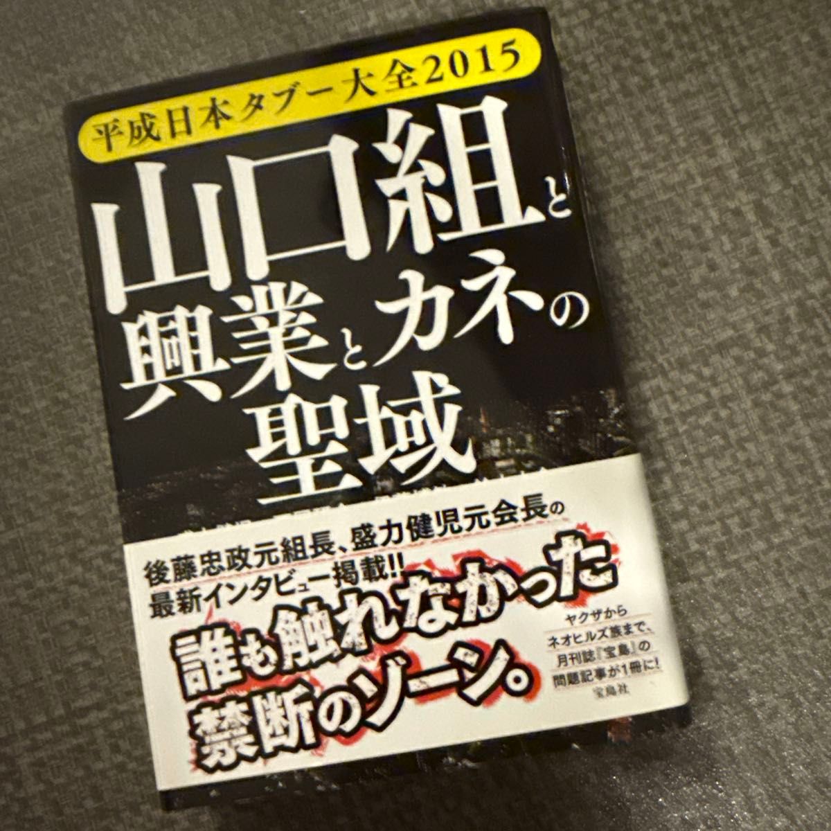 山口组与兴业与金钱的圣地 平成日本禁忌大全2015 宝岛社