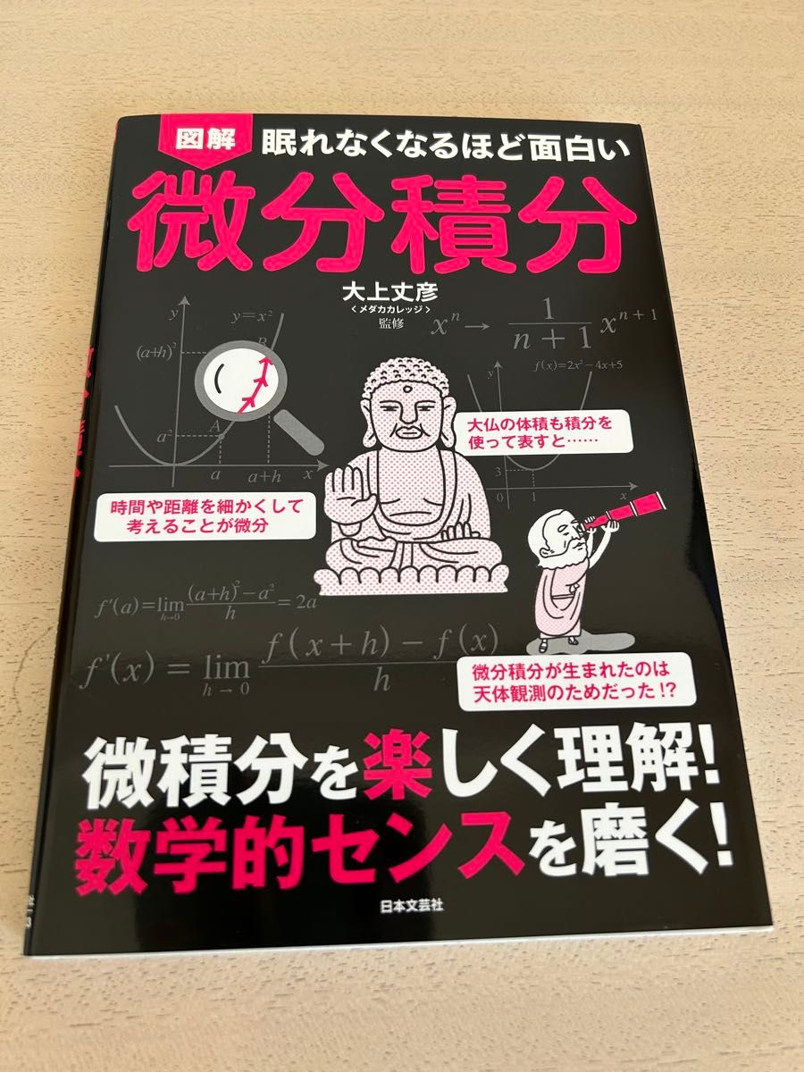 图解变得睡不着的有趣的微分积分大上丈彦监修