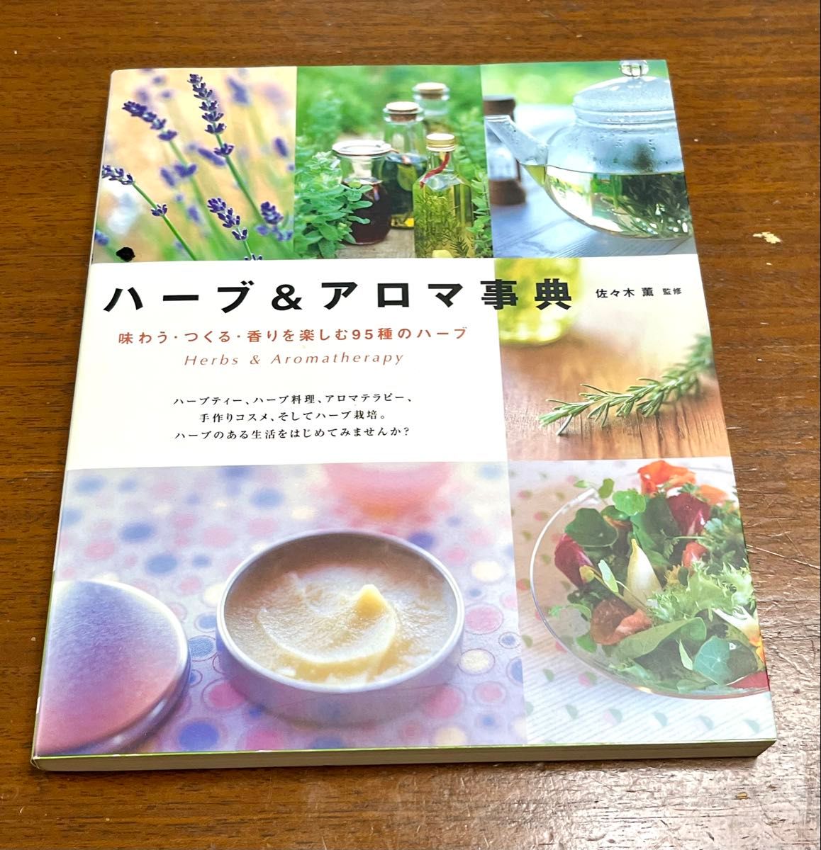 香草与芳香植物百科全书：95种可品尝、制作和享受香气的香草，佐佐木薰监修