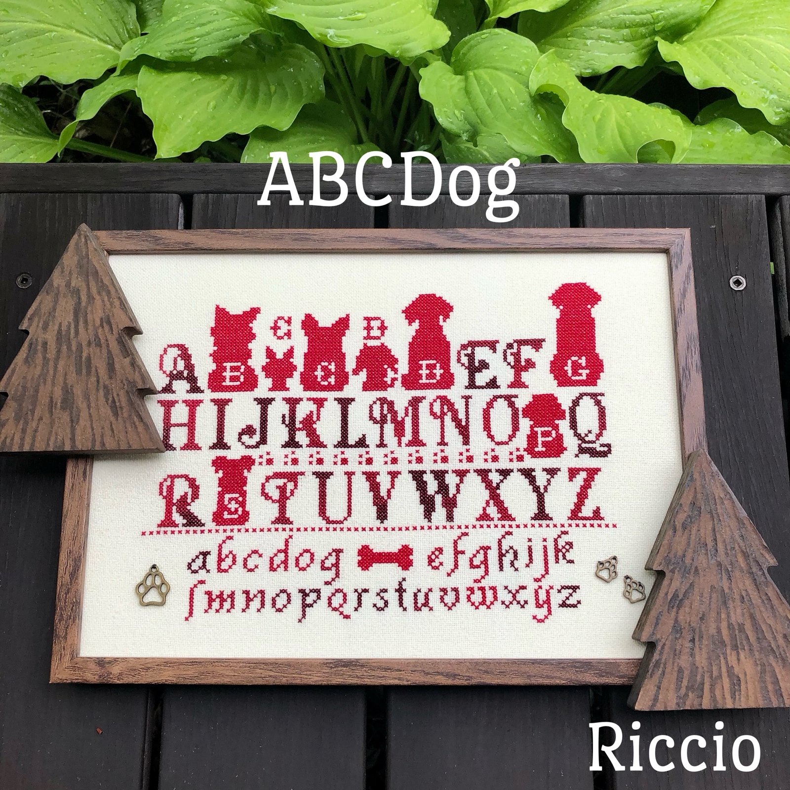 Riccio☆原创图表【ABCDog🐾】仅含图表♪