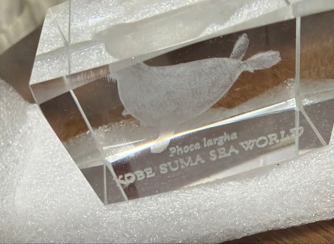 KOBE SUMA SEA WORLD 水晶摆件 斑海豹