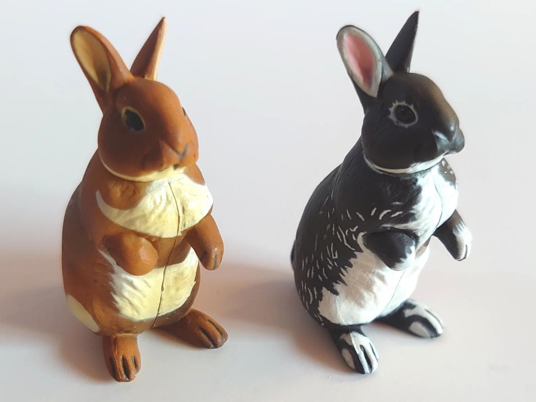 【Unused】Kaiyodo ChocoQ Japanese Animals Series 4th Edition Netherland Dwarf 2 Birds