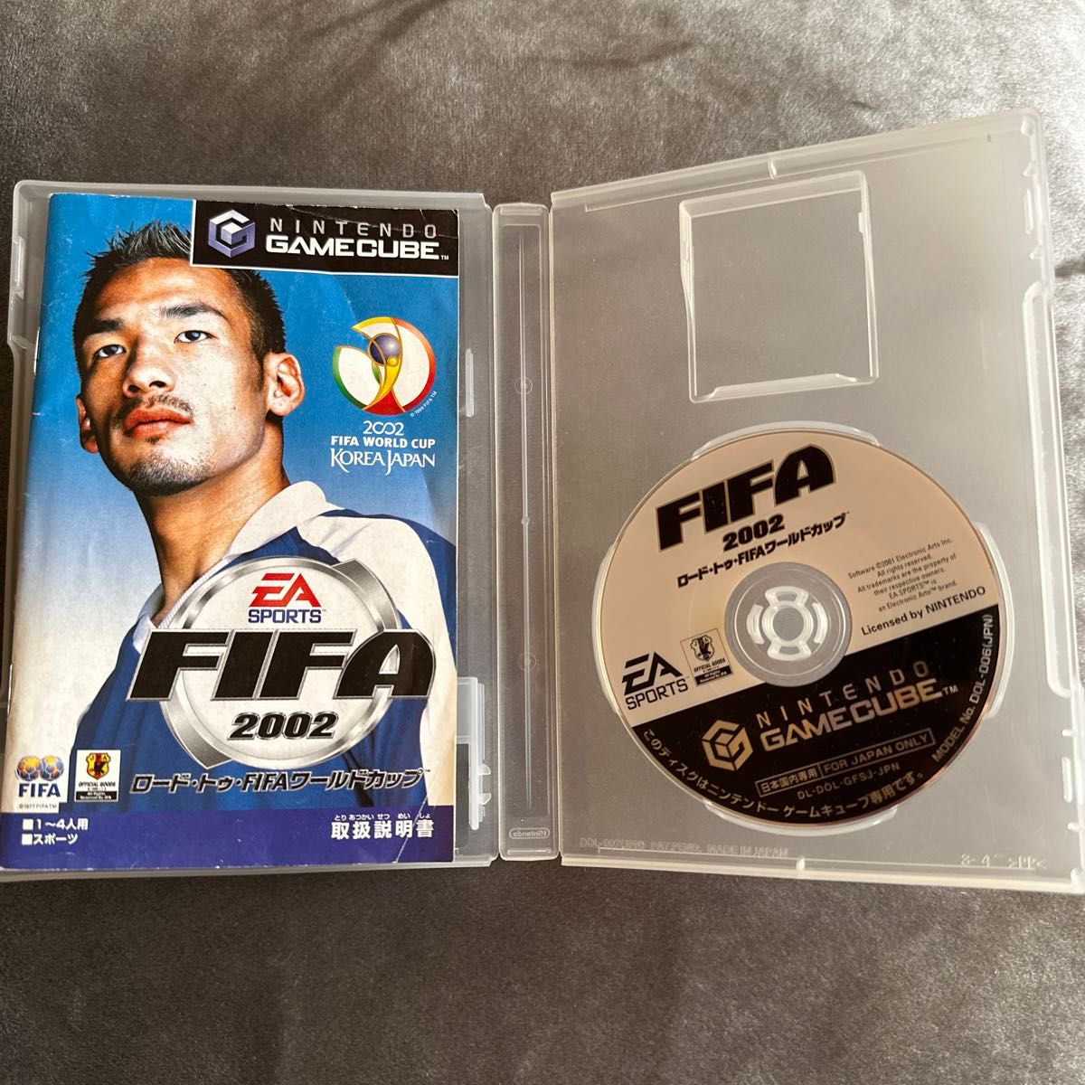 任天堂GameCube 《FIFA 2002：通往FIFA世界杯之路》