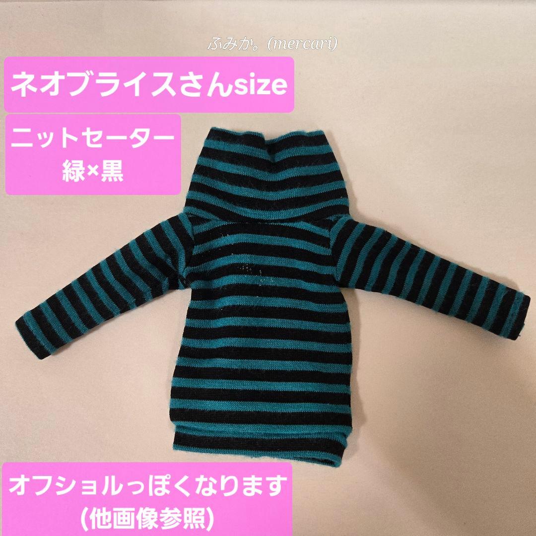 Slightly Imperfect Neo-Brace Border High Neck Sweater Green x Black