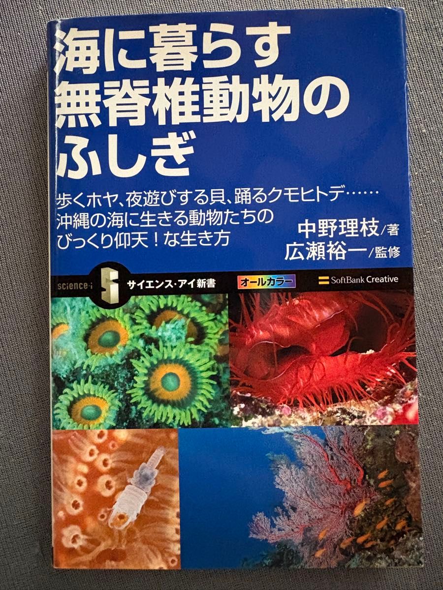 [First Edition] The Mysteries of Invertebrates That Live in the Sea by Rie Nakano, Science-I Shinsho Series