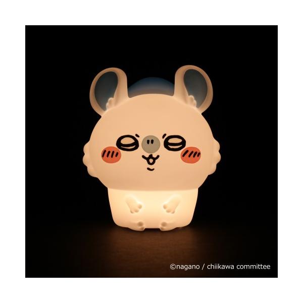 【393-PXXP069】 (杂货)