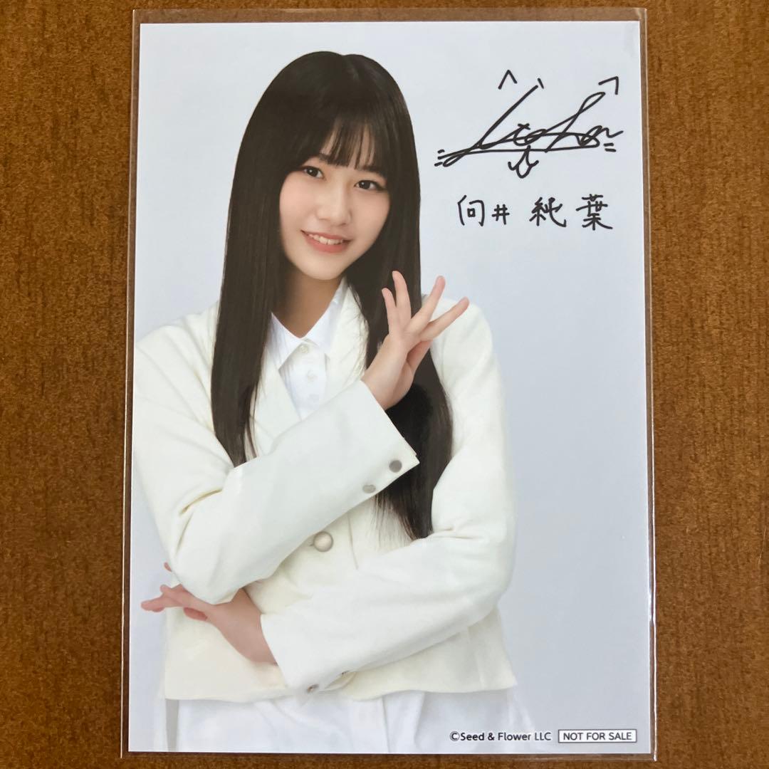 樱坂46 向井纯叶 签名生写真