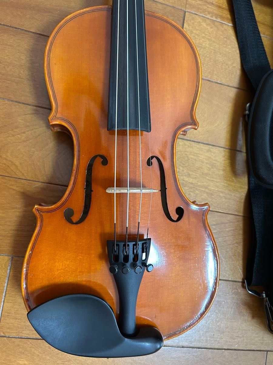 EASTMAN SVL80 套装 1/2 尺寸 2017年款