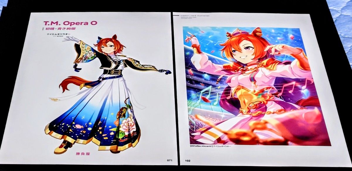 【220】赛马娘 ・特别周・ A4 海报×2张 &画框1个附赠套装(比赛服&插画))