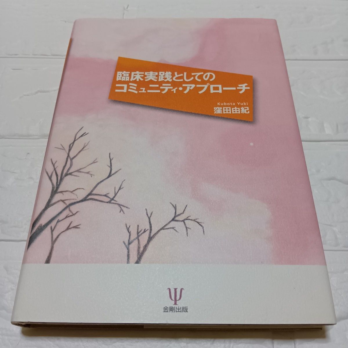作为临床实践的社区方法/洼田由纪【着】