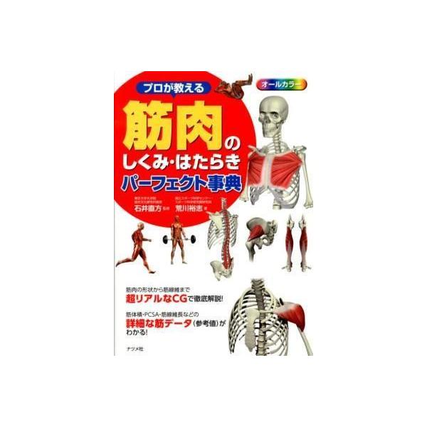 专业教授的肌肉结构、动作、动作-完美百科全书