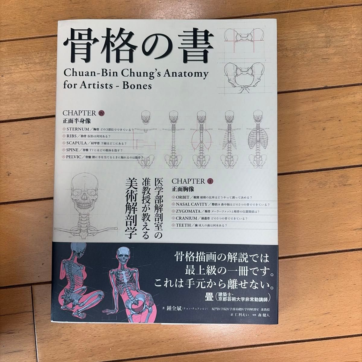骨骼之书 钟传斌的艺术家解剖学——骨骼