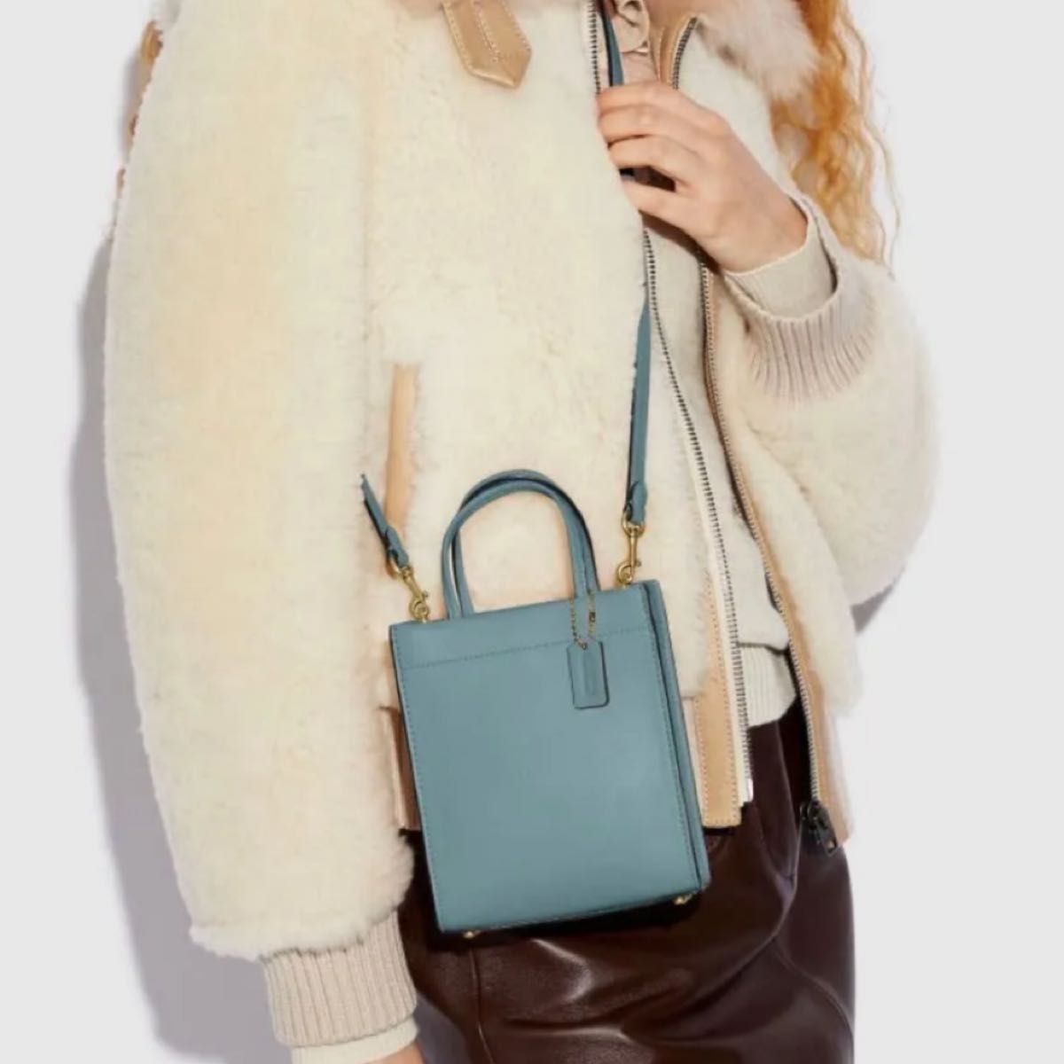 COACH Coach Mini Bag Shoulder Bag Handbag 2way c4828
