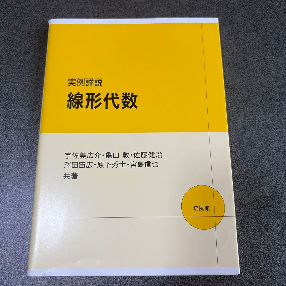 实例详细说明线性代数宇佐美广介 · 龟山敦 · 佐藤健治他共着培风馆