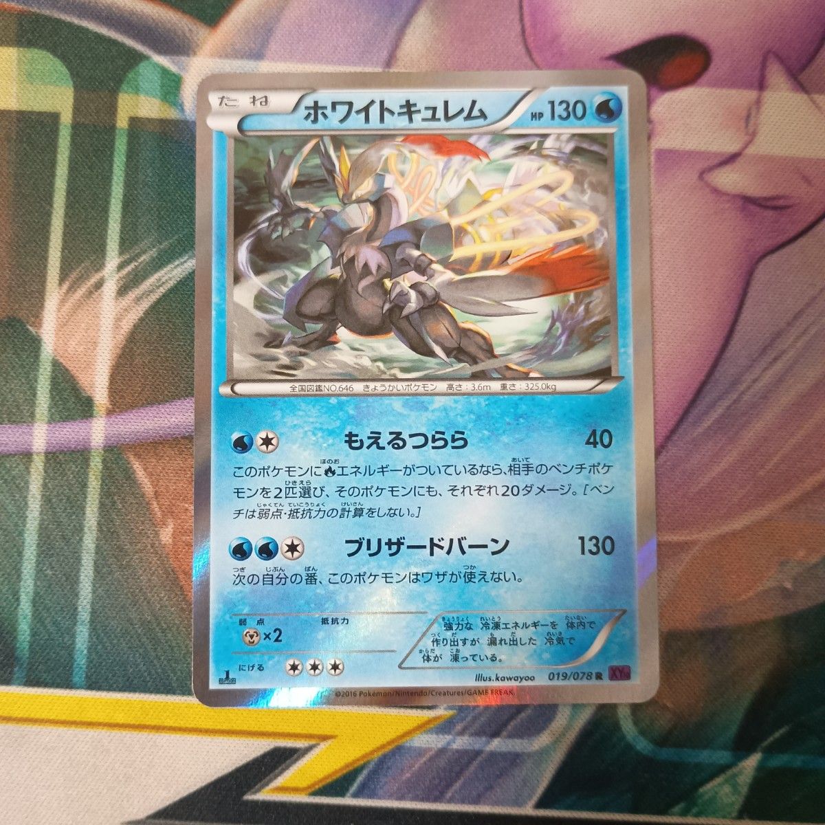 [Rare beauty goods] Pokemon card white curem 019/078 XY