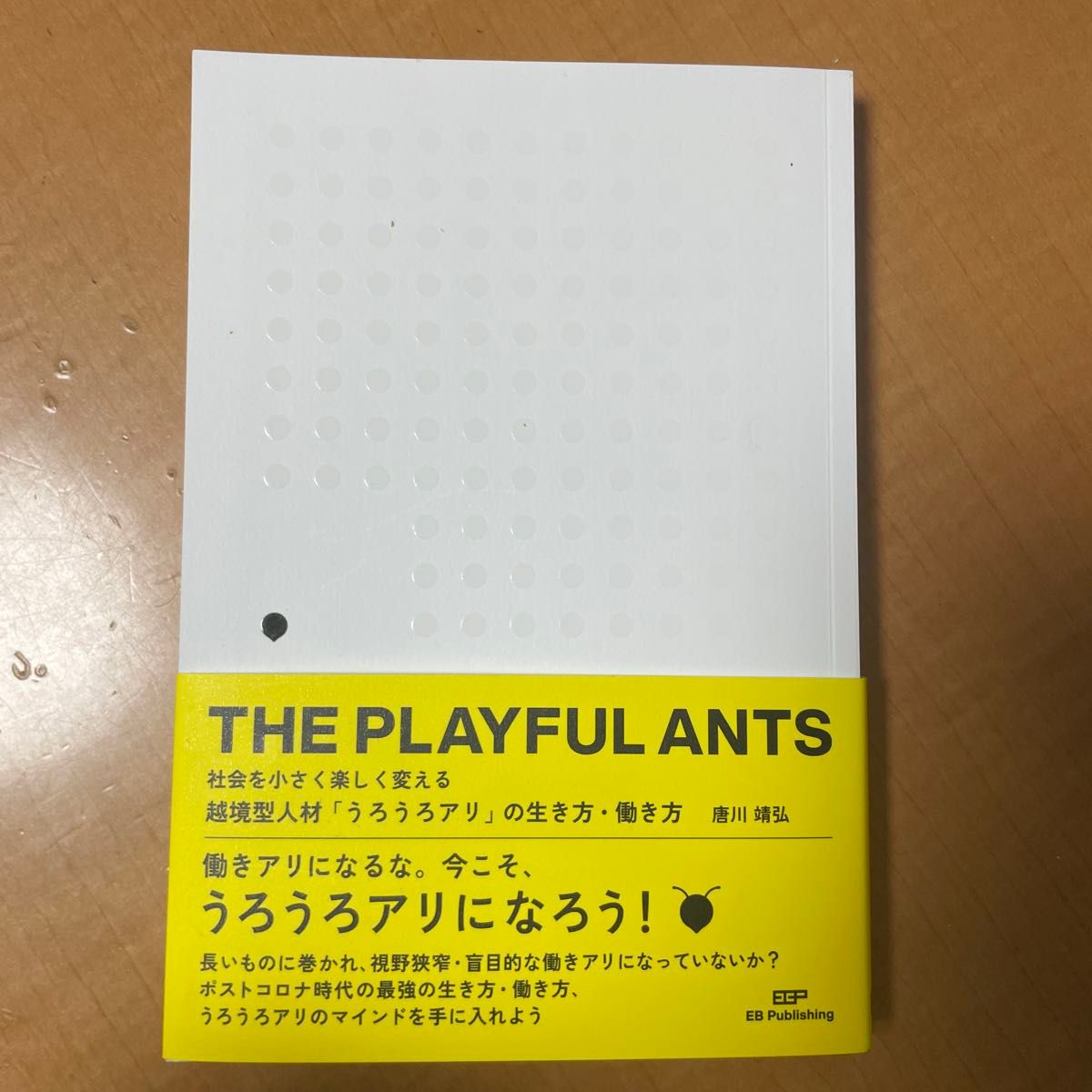 让THE PLAYFUL ANTS社会变得小小的快乐的越境型人才 “徘徊蚂蚁” 的生活方式 · 工作方式唐川靖弘/着