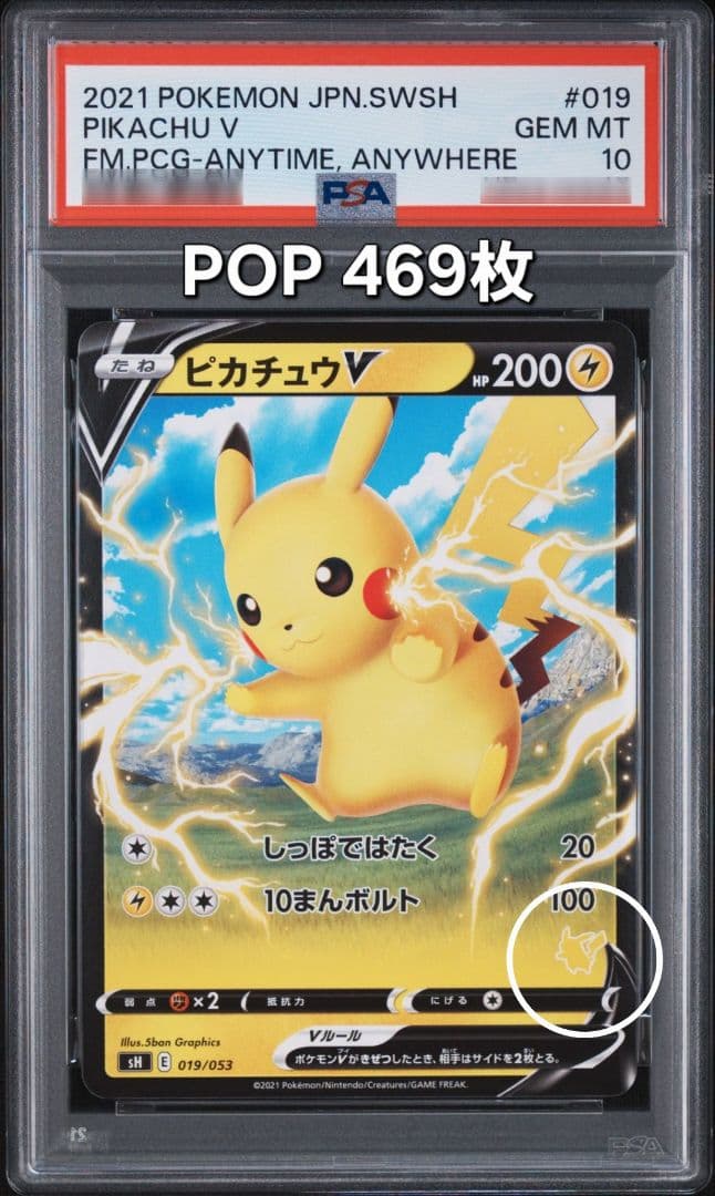 PSA10 Pikachu V 019/053 Family Pokemon Card Game