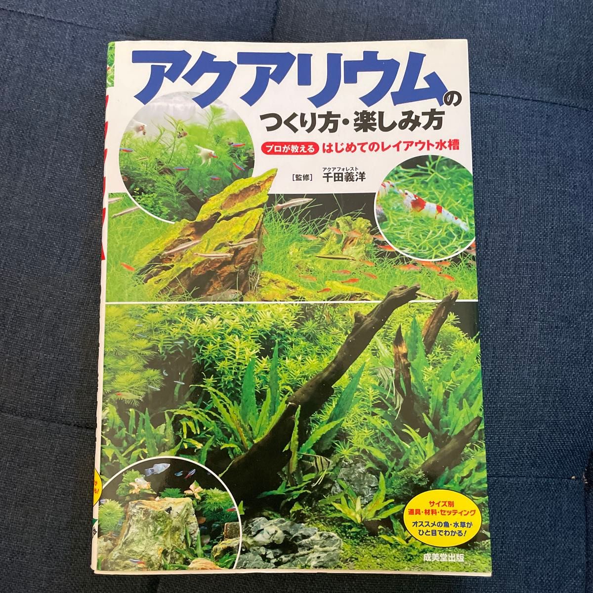 水族箱的搭建与玩法：专家教你入门造景缸 千田义洋/监修