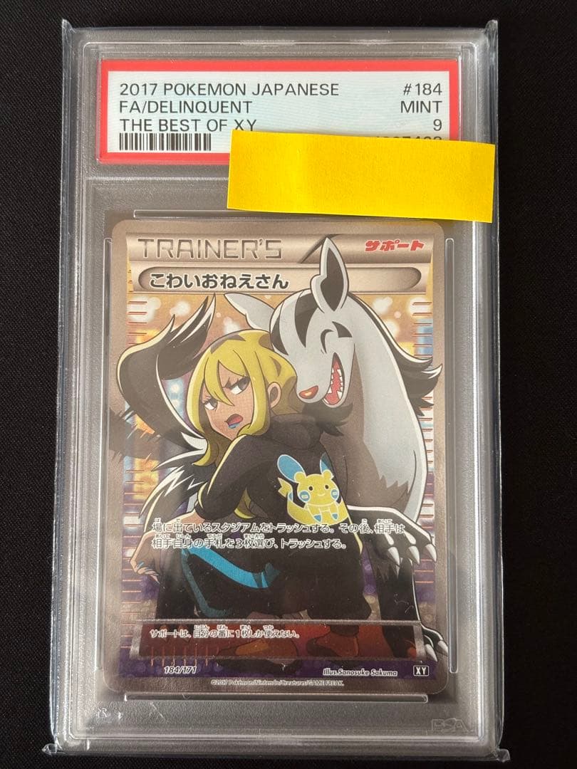 PSA9恐怖女高中生 高级包 THE BEST OF XY