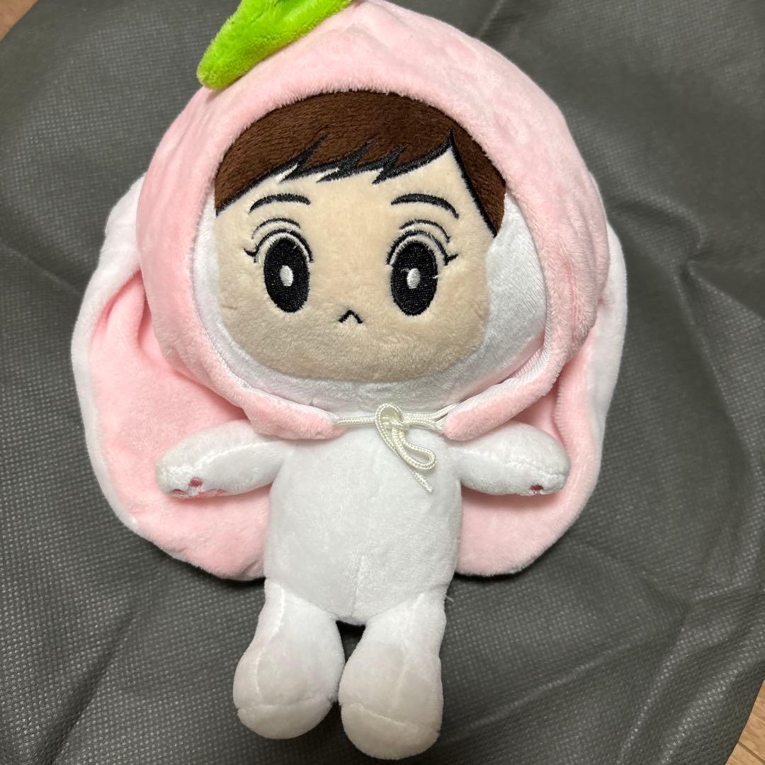 EXO 斯霍 毛绒玩具 米洛普