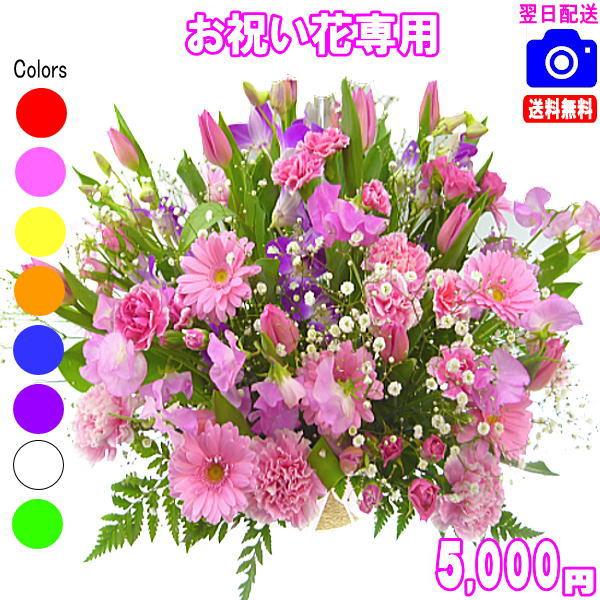 Open on Weekends and Holidays - 5,000 JPY Celebration Flower Bouquet, Free Shipping, Next-Day Delivery Available for Birth, Wedding, Housewarming, and Grand Opening Celebrations